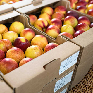 le carton ondulé pour le transport des fruits et légumes