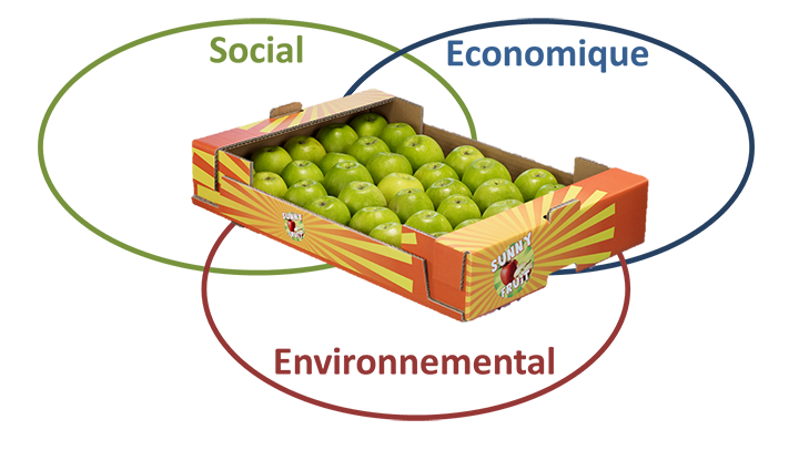 plateau fruits et légumes en carton ondulé est social, économique et environnemental