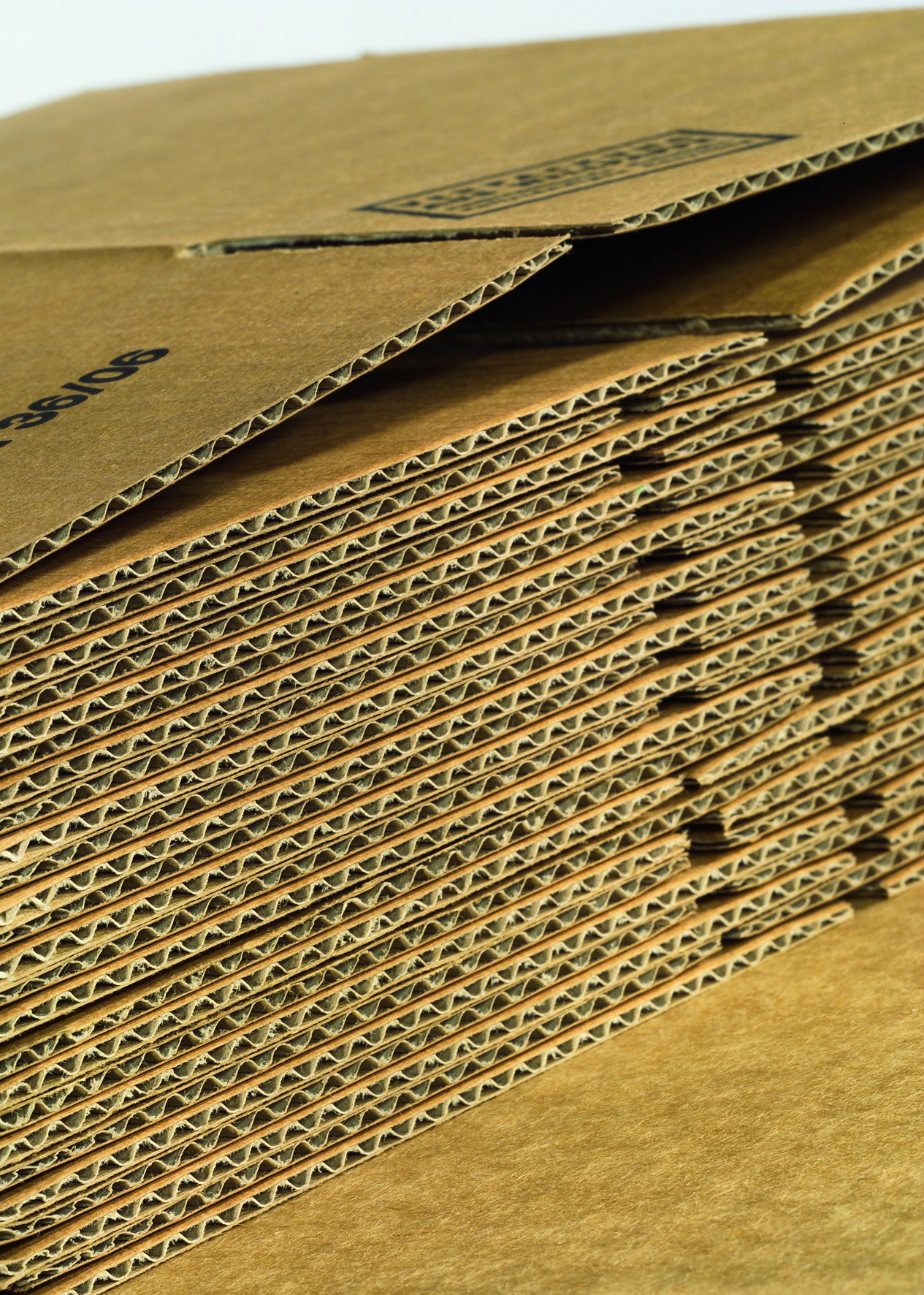 03_Wellpappenzuschnitt2_300_CMYK